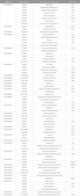 Genome-wide identification of long non-coding RNAs and their potential functions in radish response to salt stress